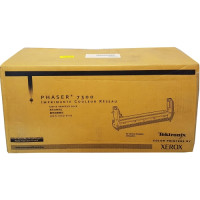 Xerox 16199600 - Bęben czarny (Black)